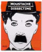 Dissecting/Moustache