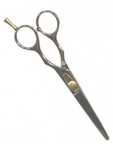 Barber Scissors