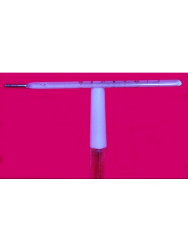 Thermometer - Oral analog dual scale