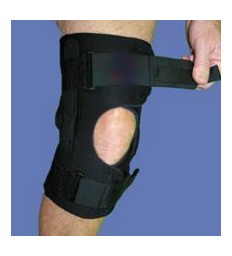 Knee with Hinge